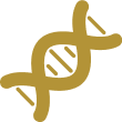 gy 1